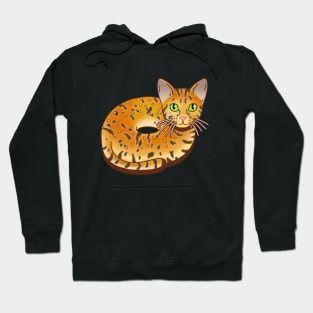 Bengal Bagel Hoodie